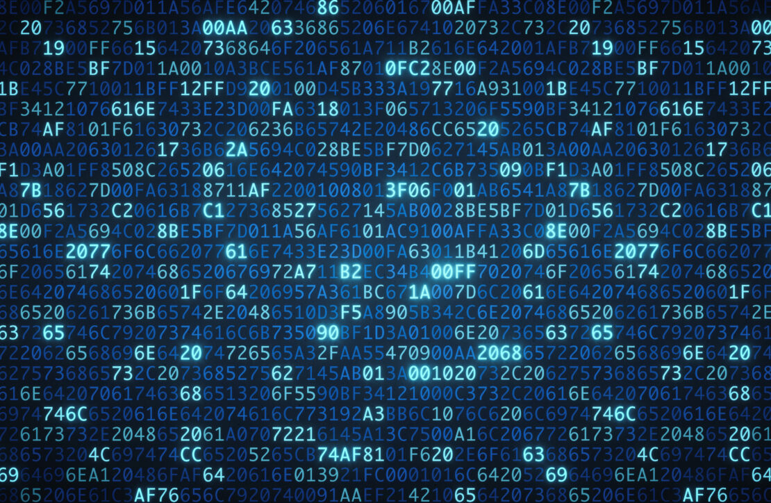 Masquer le numéro de version de votre site WordPress