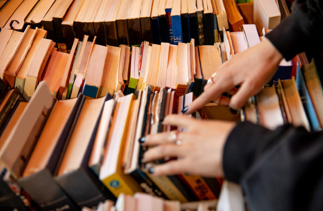 Vérifier si un auteur a publié au moins un article sous WordPress