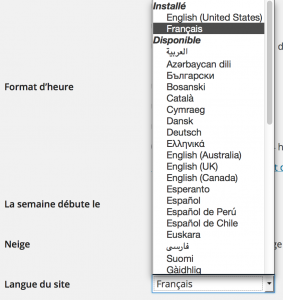 wpchannel-language-switcher