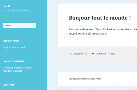 wpchannel-twenty-fifteen-customizer