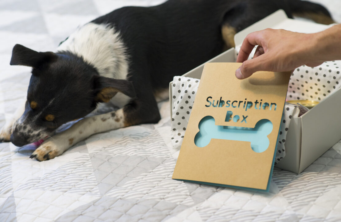 Vérifier si l’utilisateur dispose d’un abonnement actif pour WooCommerce Subscriptions