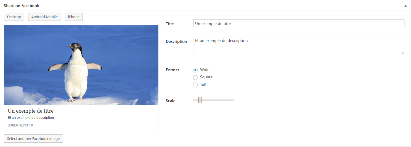 Capture d'écran de l'éditeur de métadonnées Facebook